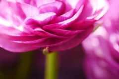 2022-03-28 Mittagssonne