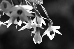 2022-05-22 Schlosspark-Heltorf