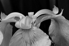 2022-06-03-Staendehaus