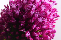 2025-09-21-Sonntagsfrueh