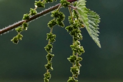 2021-10-06 Grafenberger Wald