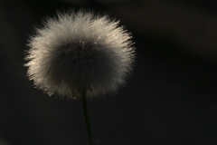 2020-09-21, Gegenlicht, Medienhafen