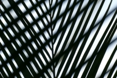 2020-03-15, Botanischer Garten