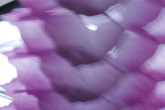 2022-02-27-Aus-der-Naehe