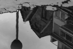 2022-05-20-Nach-dem-Regen