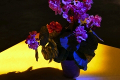 2023-05-17-Catedral_de_Justo