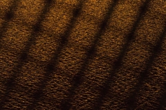 2022-01-28 Medienhafen