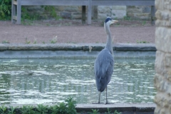 2020-05-29 Bademeister