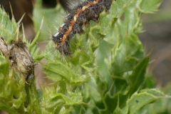 2020-06-07 Bald komme ich ganz groß raus